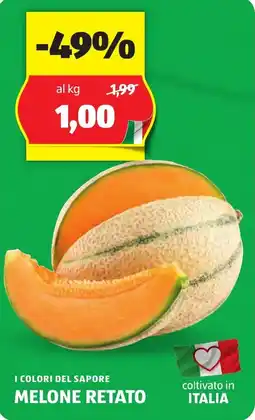 ALDI I colori del sapore melone retato offerta