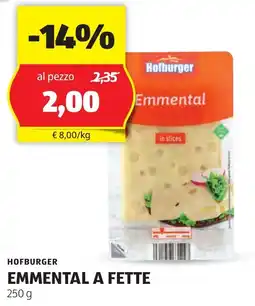 ALDI Hofburger emmental a fette offerta