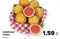 Tigre Pompelmo rosso offerta