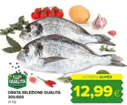 Tigre Orata selezione qualità 300/600 offerta