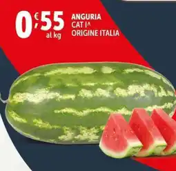 Deco Supermercati Anguria offerta