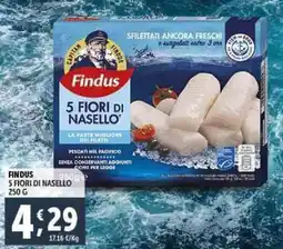 Deco Supermercati Findus 5 fiori di nasello offerta