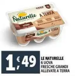 Deco Supermercati Le naturelle 6 uova fresche grandi allevate a terra offerta