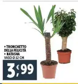 Deco Supermercati Tronchetto della felicità natasha vaso 12 cm offerta