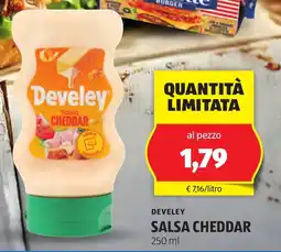 ALDI Develey salsa cheddar offerta