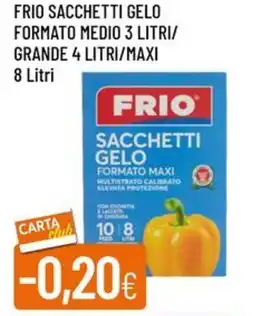 IperFamila Frio sacchetti gelo formato medio 3 litri/ grande 4 litri/maxi offerta