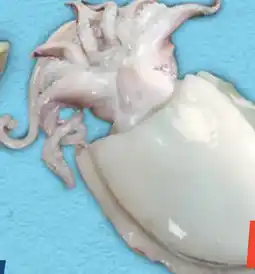 Sapore di Mare Seppia grande offerta