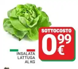 Supermercati Gulliver Insalata lattuga offerta