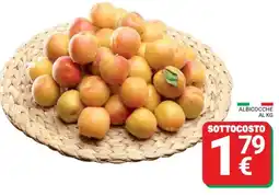 Supermercati Gulliver Albicocche offerta