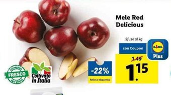 Lidl Mele Red Delicious offerta