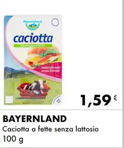 Iper Tosano BAYERNLAND Caciotta a fette senza lattosio offerta