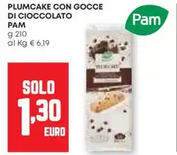 Pam Plumcake con gocce di cioccolato PAM offerta