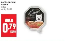 Pam Patè per cani CESAR offerta