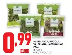 Pam Misticanza, rucola, valeriana, lattughino PAM offerta