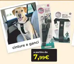 Arcaplanet cinture e ganci offerta