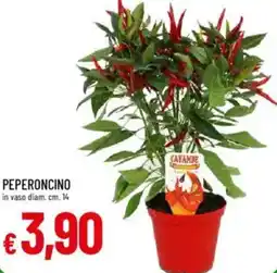 Galassia Peperoncino offerta
