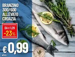 Galassia Branzino 300/600 allevato croazia offerta
