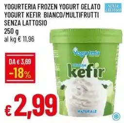 Galassia Yogurteria frozen yogurt gelato senza yogurt kefir bianco/multifrutti senza lattosio offerta