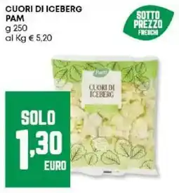 Panorama Cuori di iceberg PAM offerta