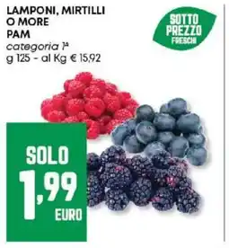 Panorama Lamponi, mirtilli o more PAM offerta