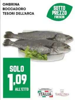 Panorama Ombrina boccadoro TESORI DELL'ARCA offerta