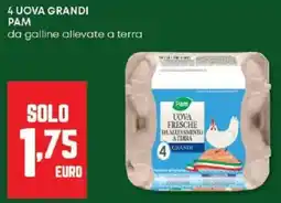 Panorama 4 uova grandi PAM offerta