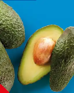 Lidl Avocado offerta