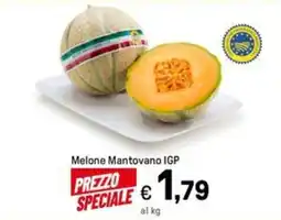Iper La Grande Melone Mantovano IGP offerta