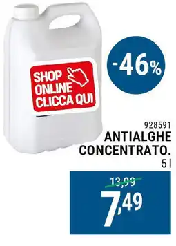 Cfadda Antialghe concentrato offerta