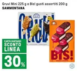 Iper La Grande Gruvi Mini o Bis! gusti assortiti SAMMONTANA offerta