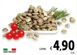 Spazio Conad Lupini offerta
