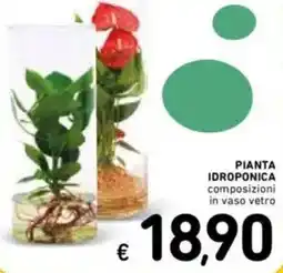 Spazio Conad Pianta idroponica offerta