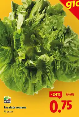 Lidl Insalata romana offerta