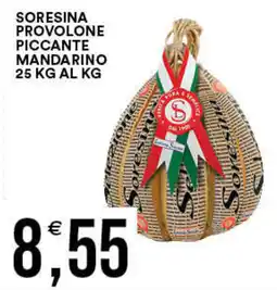 Vantaggio Cash&Carry Soresina provolone piccante mandarino al kg offerta