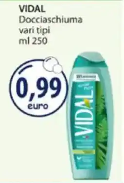 Acqua & Sapone VIDAL Docciaschiuma vari tipi offerta