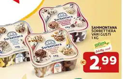 Extra Supermercati Sammontana sorbettiera vari gusti offerta