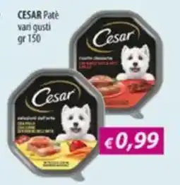 Acqua & Sapone CESAR Pate vari gusti offerta