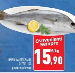 Conad Superstore Ombrina estera da oltre offerta