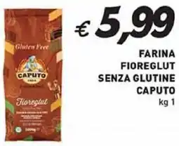 Coal Farina fioreglut senza glutine caputo offerta