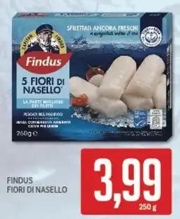 Supermercati Piccolo Findus fiori di nasello offerta