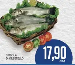 Supermercati Piccolo Spigola di orbetello offerta