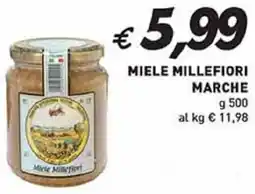 Coal Miele millefiori marche offerta