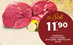 Extra Supermercati Muscolo di scottona di filiera certificata offerta