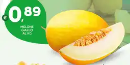 Extra Supermercati Melone giallo offerta