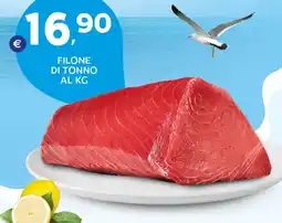 Extra Supermercati Filone di tonno offerta
