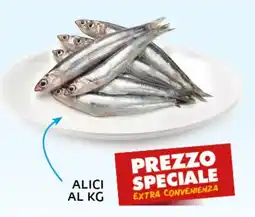 Extra Supermercati Alici offerta