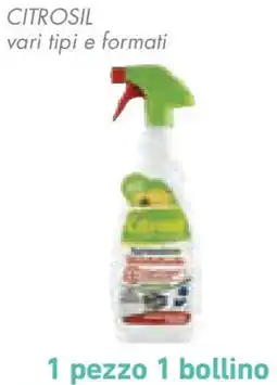 Conad Superstore Citrosil offerta