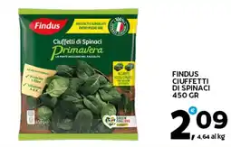 Extra Supermercati Findus ciuffetti di spinaci offerta