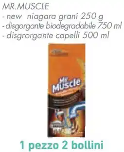 Conad Superstore Mr. muscle offerta