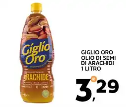 Extra Supermercati Giglio oro olio di semi di arachidi offerta